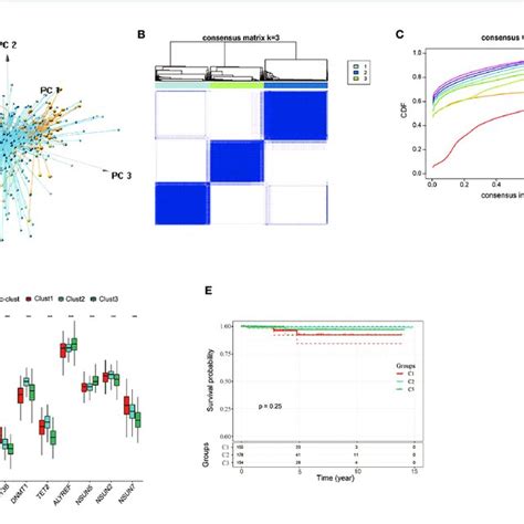 The Nine Regulator Mediated M C Methylation Modification Patterns