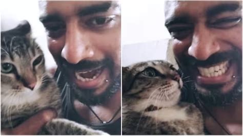 Man Recreates ‘Just Looking Like a Wow’ Meme With His Cat, Viral Video ...