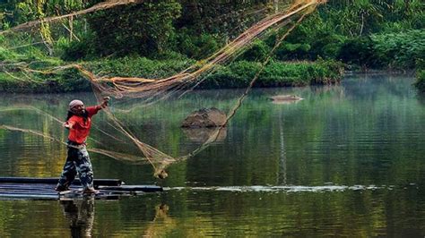 Se Necesitan Medidas Urgentes Para Salvaguardar La Biodiversidad De Los