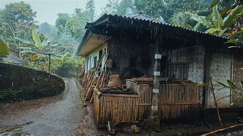 Hujan Deras Mengguyur Kampung Terpencil Suasanaya Bikin Damai Suasana