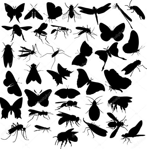 Flying Insects Silhouettes Stock Vector Image By Milagli 11644677