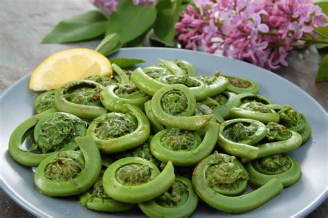 Rare And Unseen Vegetables Fiddleheads Infy World