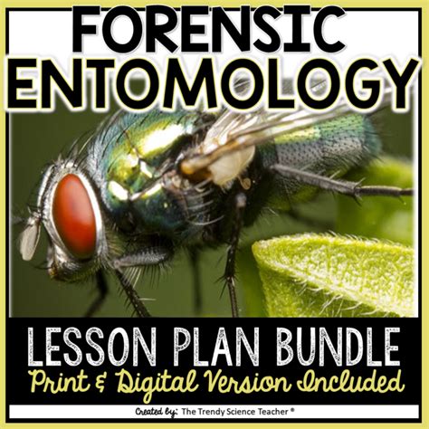 Forensic Entomology Lesson Plan Bundle Print And Digital ⋆ The Trendy Science Teacher