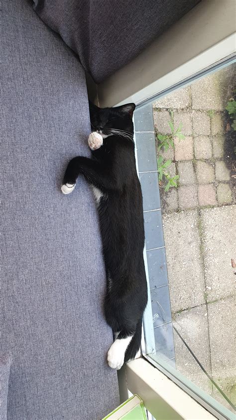 My Friends Pussy Between A Couch R TIGHTPUSSY