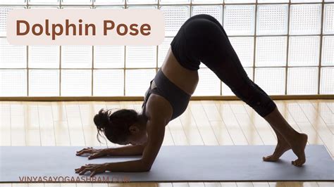 Dolphin Plank Pose (Forearm Plank) : How to Do IT, Benefits & Precautions