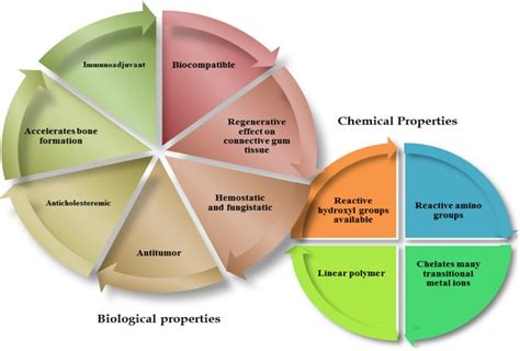 The Biological And Chemical Properties Of Chitosan 27 Download