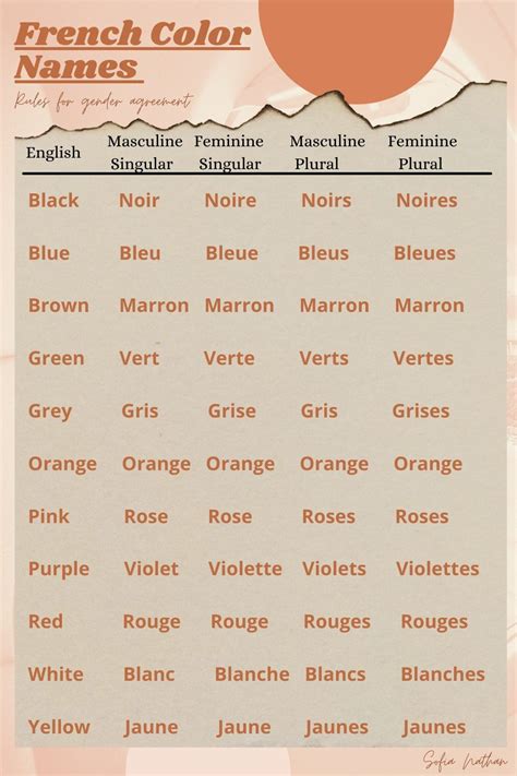 Colors in French | Basic french words, French lessons, French basics