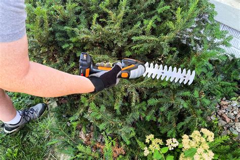 The 3 Best Cordless Hedge Trimmers Tested By Bhg