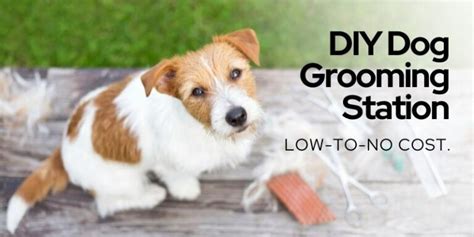 Your Guide On How To Make A DIY Dog Grooming Station At Home