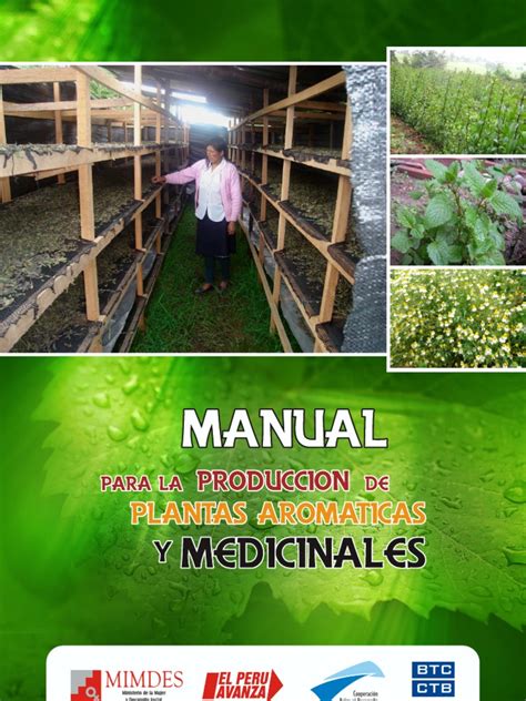 Manual Para La Producción De Hierbas Aromáticas Descargar Gratis Pdf Suelo Fertilizante