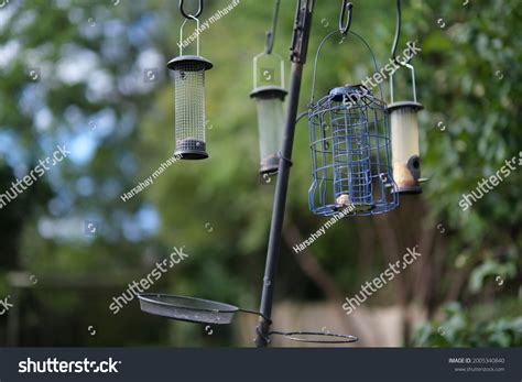 2 Shepherd Hook Pole Of A Bird Feeder Stock Photos, Images & Photography | Shutterstock