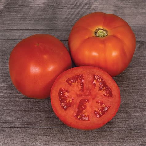 Tomato Mountain Man Hybrid Large Red J W Jung Seed Company