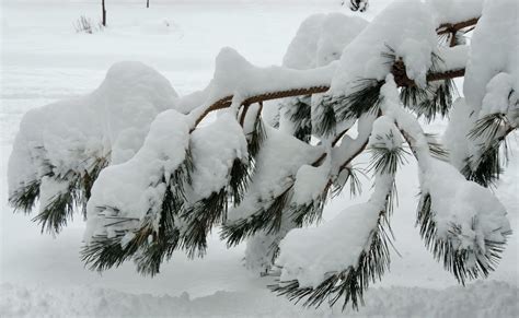 Father Julian's Blog: Bend Winter Wonderland