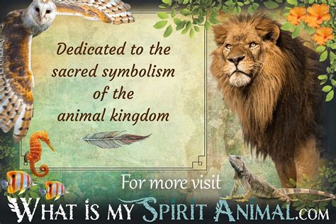 Animal Symbolism & Meanings | Spirit, Totem, & Power Animal