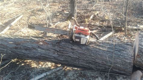 Stihl 076 Av Super Blows Up Mid Cut Youtube