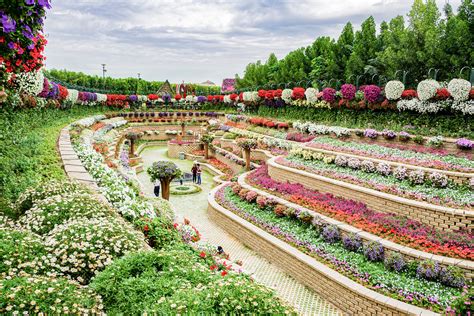 Blumenparadies Dubai Miracle Garden | Urlaubsguru.de