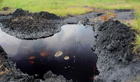 Oil Spillage Kills At Least In Rivers State Nigeria Omg Politics