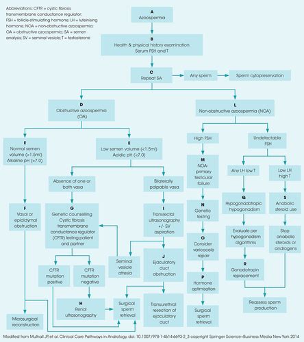 Surgical Management Of Azoospermia Yassin 2021 Trends In Urology