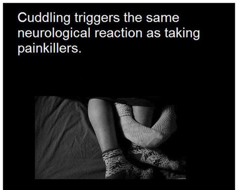 Facts About Love (10 pics)