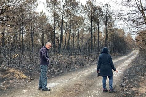 Incendies De Nouveau Accessible La Forêt De Brocéliande Reste Sous