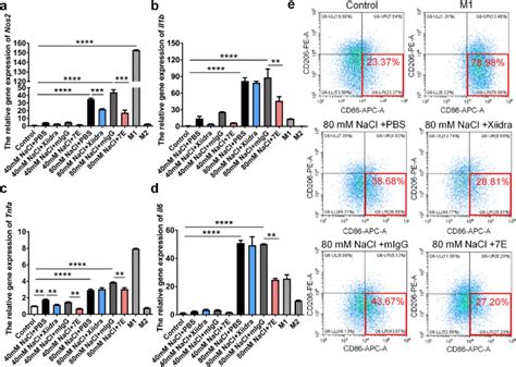 7E Protected Macrophages From Hyperosmotic Stress Induced Activation