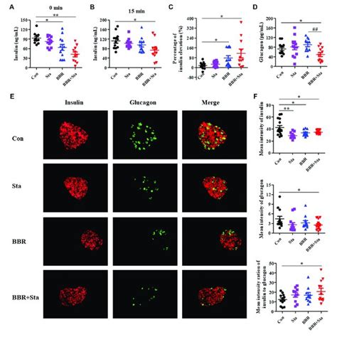 Bbr Combined With Sta Modifies Islet Functions In Kkay Mice A