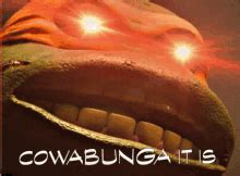 Cowabunga Tmnt GIF - Cowabunga TMNT Ninja Turtles - Discover & Share GIFs