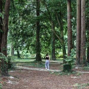 Arboretum cimetière parc paysager de Nantes Nantes nature et jardins