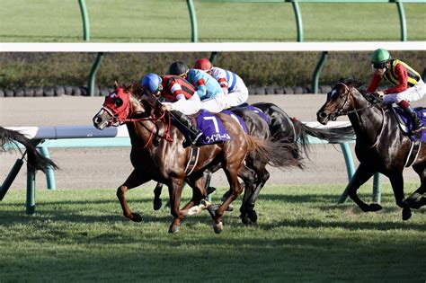 ひろいき一口馬主 On Twitter ウインマーベル スプリンターズs スタート直後に接触の不利があり、想定よりも後ろの隊列に 直線で