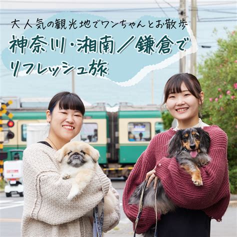 【web版ワンコ旅】人気観光地で愛犬と潮風を感じながらリラックス♪神奈川県湘南・鎌倉の旅