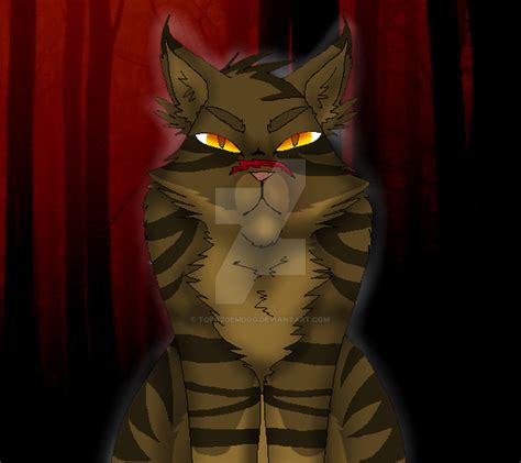 Tigerstar (Dark forest cat) by TopazGemDog on DeviantArt