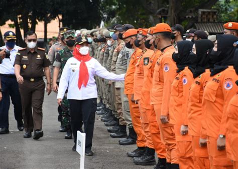 Tahun Ini Damkarmat Mesuji Tangani 9 Kasus Sarang Tawon