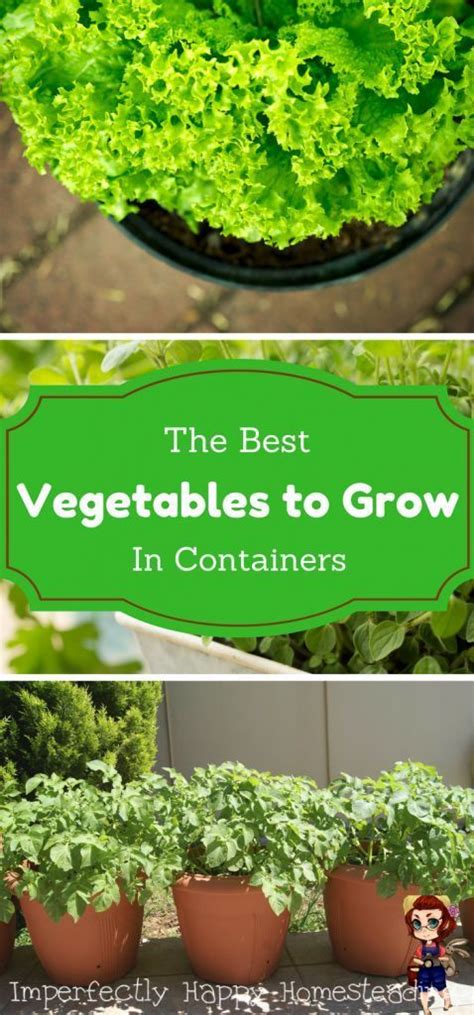 Vegetables In Pots The Best Veggies To Grow In Containers Growing