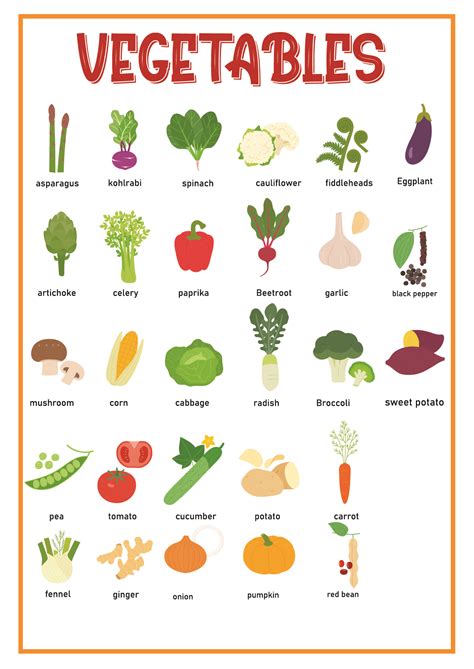 Vegetables Chart - Prisha The Explorer