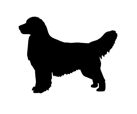 Golden Retriever Svg And Png Digital Download Svg Dog