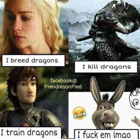 Shrek Donkey And Dragon Meme