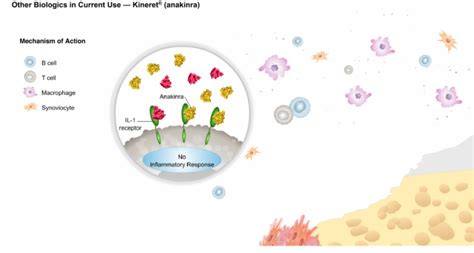 Rheumatoid_Arthritis_Treatments_with_Biologics