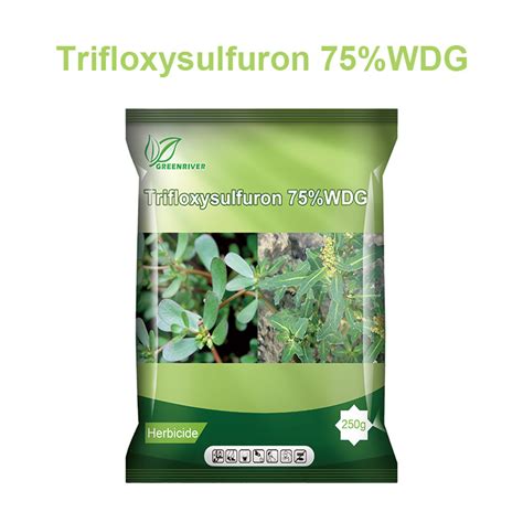 Factory Price Agrochemical Pesticide Herbicide Trifloxysulfuron Tc