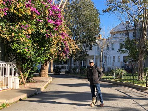 Buyukada Princes Island Guided Day Tour With Lunch From Istanbul