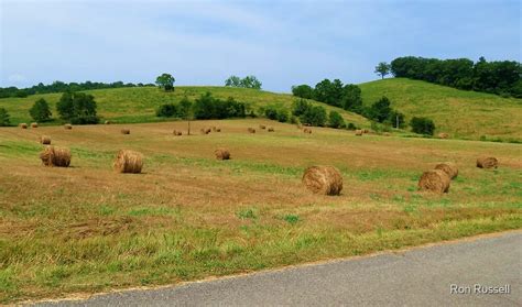 The Rolling Hills Of Kentucky By Ron Russell Redbubble