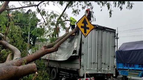 Hujan Deras Disertai Angin Pohon Tumbang Timpa Truk Box Di Mojokerto