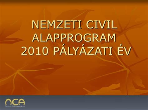 PPT NEMZETI CIVIL ALAPPROGRAM 2010 PÁLYÁZATI ÉV PowerPoint