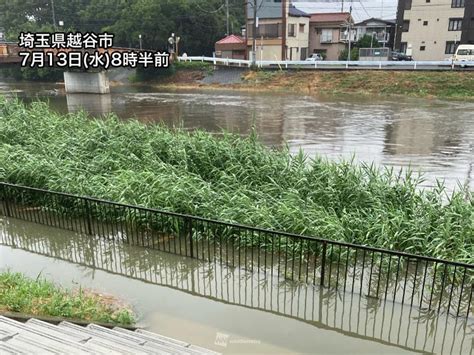 関東は雨の降りやすい天気続く 局地的な雷雨に注意 ウェザーニュース