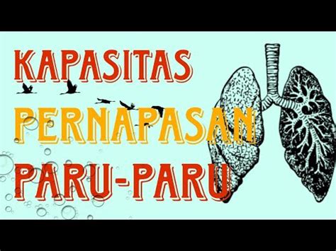 PRAKTIKUM BIOLOGI KAPASITAS PERNAPASAN PARU PARU YouTube