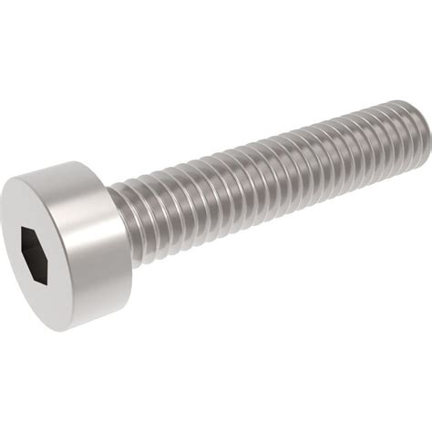 18 8 Stainless Steel Low Profile Socket Head Screws With Hex Drive M6