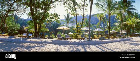 Sandy Beach Palm Trees Nang Thong Beach Khao Lak Andaman Sea