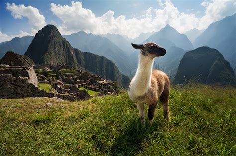 5 Cosas Que Hay Que Disfrutar En Perú