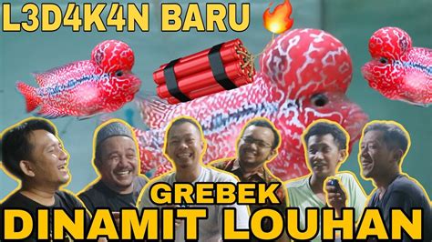 Grebek DINAMIT LOUHAN TERBARU Pentingnya Team Dalam PERLOUHANAN YouTube