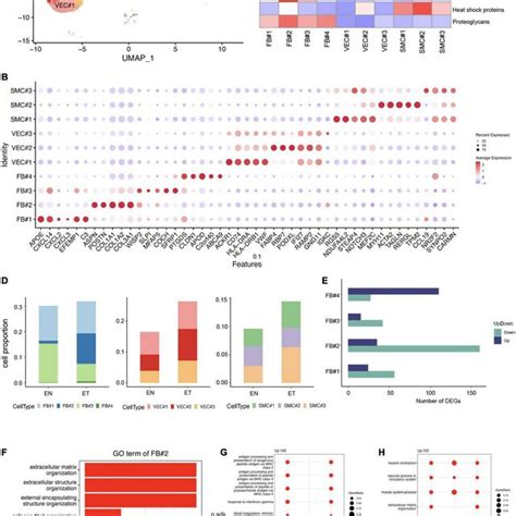 Characteristics of Schwann cells in earlobe keloid. (A) Uniform ... 