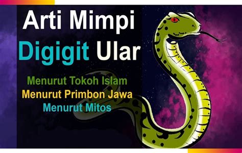 Arti Mimpi Digigit Ular Menurut Islam Dan Primbon Tanda Buruk